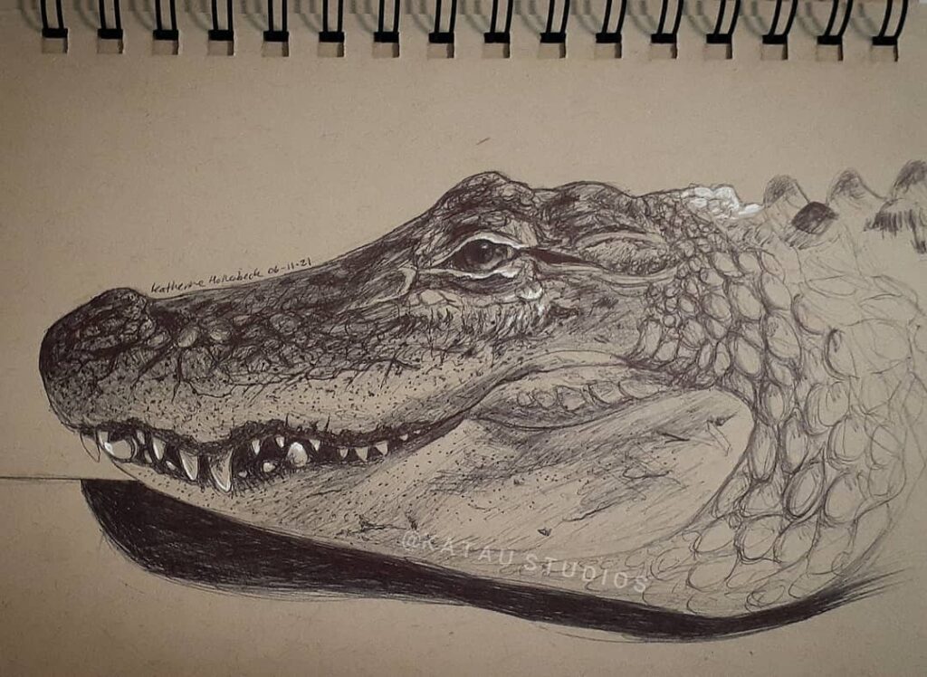 Toned Paper Ballpoint Pen Alligator Drawing by Katau Studios