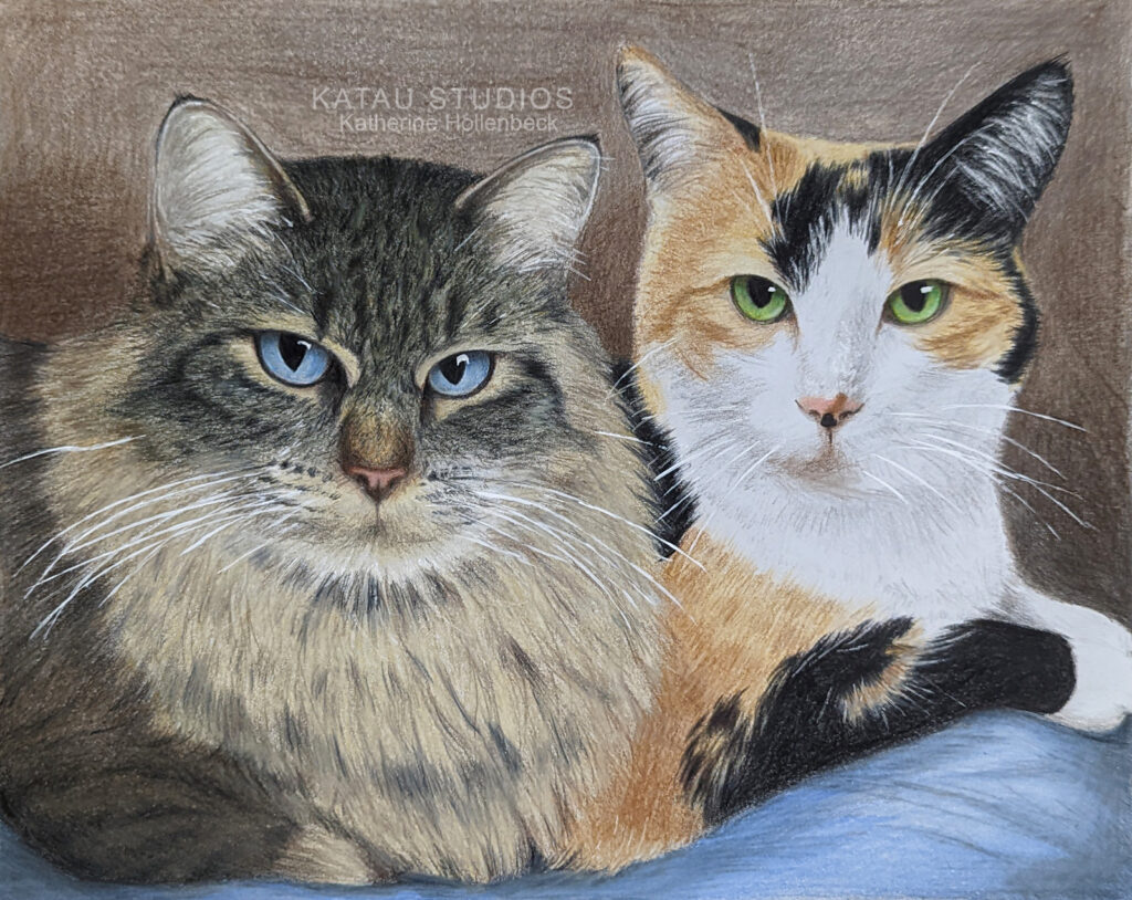 Colored pencil drawing of Christy's cats by Katherine Hollenbeck